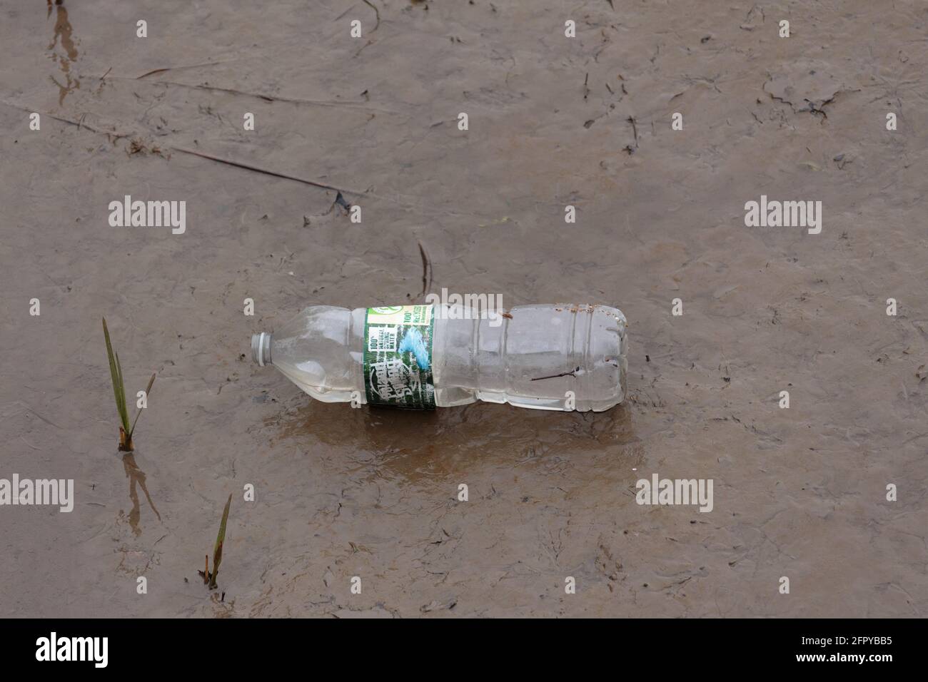 Eine ausrangierte Wasserflasche aus Plastik im Schlamm, ein Symbol für die Umweltverschmutzung durch Plastikmüll Stockfoto