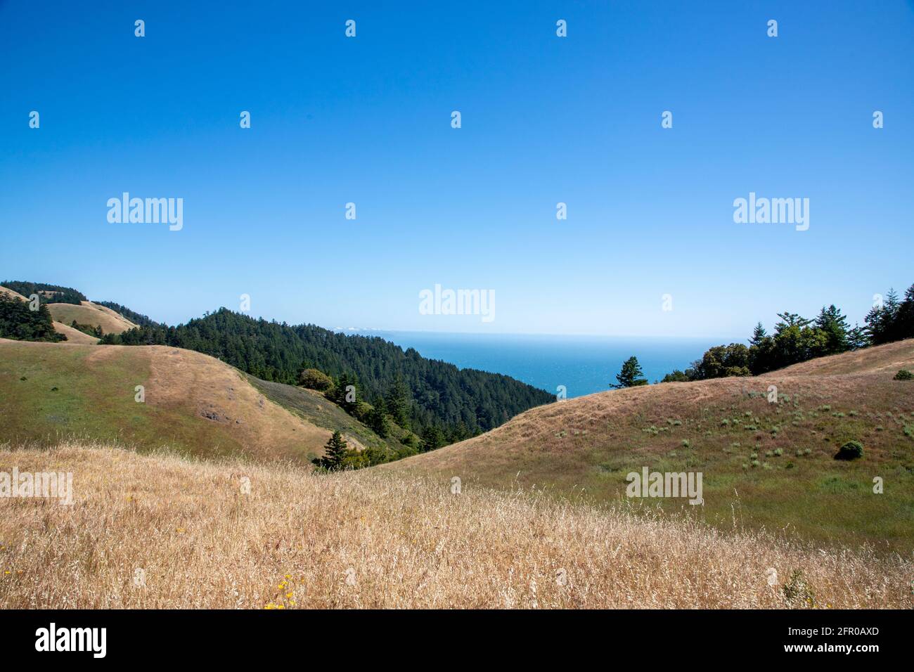 Mt. Tamalpais in Marin County, im Norden von Kalifornien, USA. Stockfoto