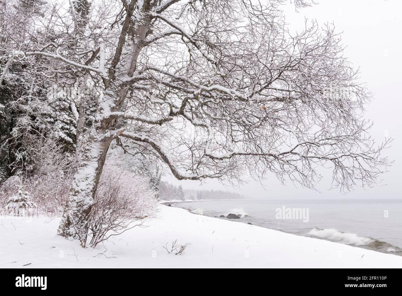 Lake Superior an der Mündung des Kadunce River, Februar, Minnesota, USA, von Dominique Braud/Dembinsky Photo Assoc Stockfoto