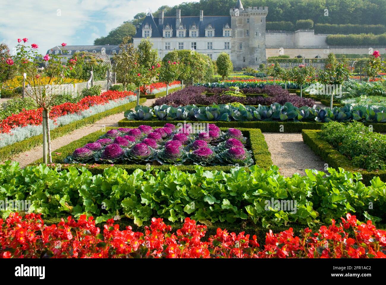 Chateau de Villandry Gardens, Loire-Tal, Frankreich Stockfoto