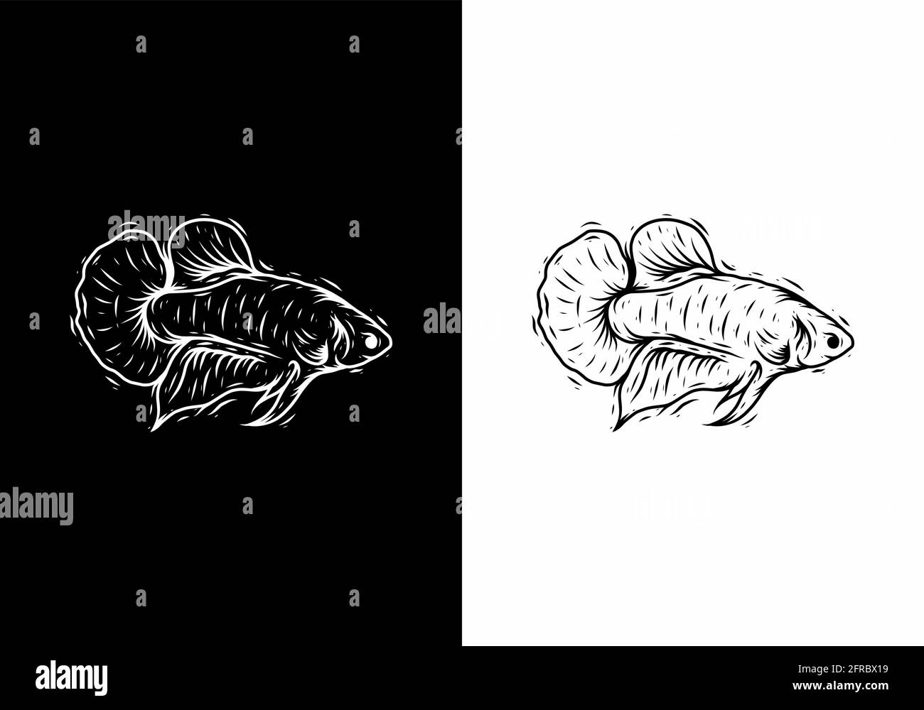 Schwarz-weiße Linienkunstzeichnung von Betta-Fischdesign Stock Vektor