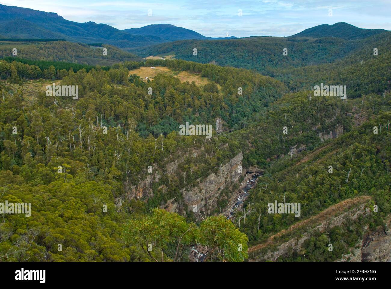 Leven Canyon, Tasmanien, Australien Stockfoto