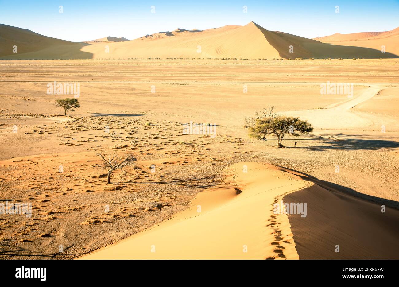 Von der Spitze der Dune 45 aus hat man einen hohen Blickwinkel Der Weg nach Deadvlei bei Sossusvlei - Namibian world famous Wüste - afrikanisches Naturwunder Stockfoto