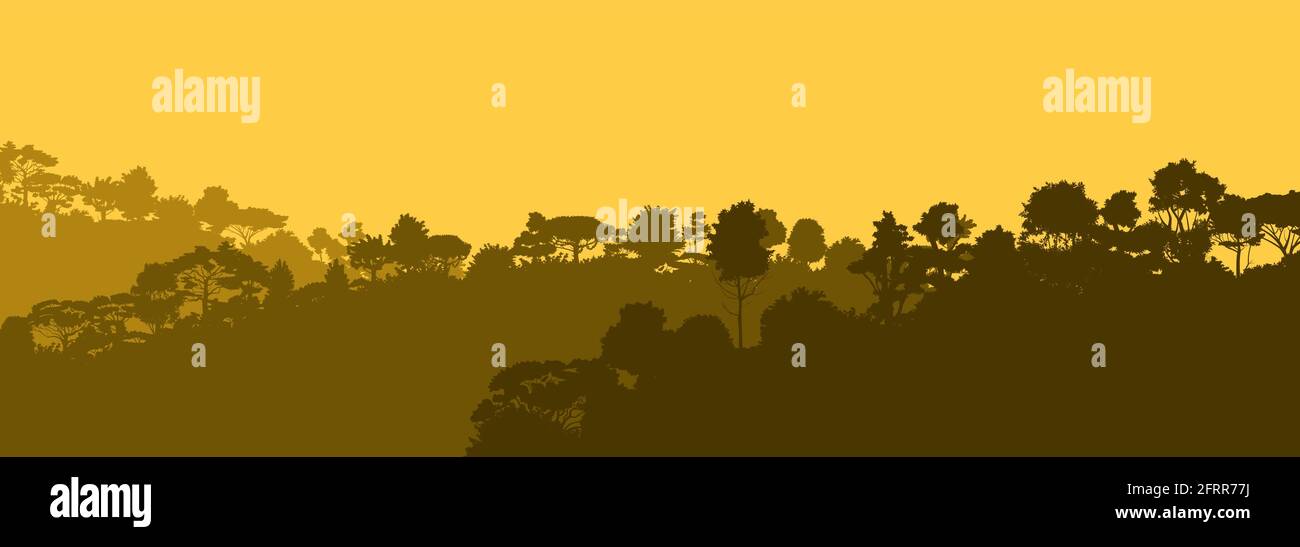 Laubwald. Silhouette. Reife, sich ausbreitende Bäume. Dicke Dickichte. Hügel mit Pflanzen überwuchert. Himmel. Vektorgrafiken Stock Vektor