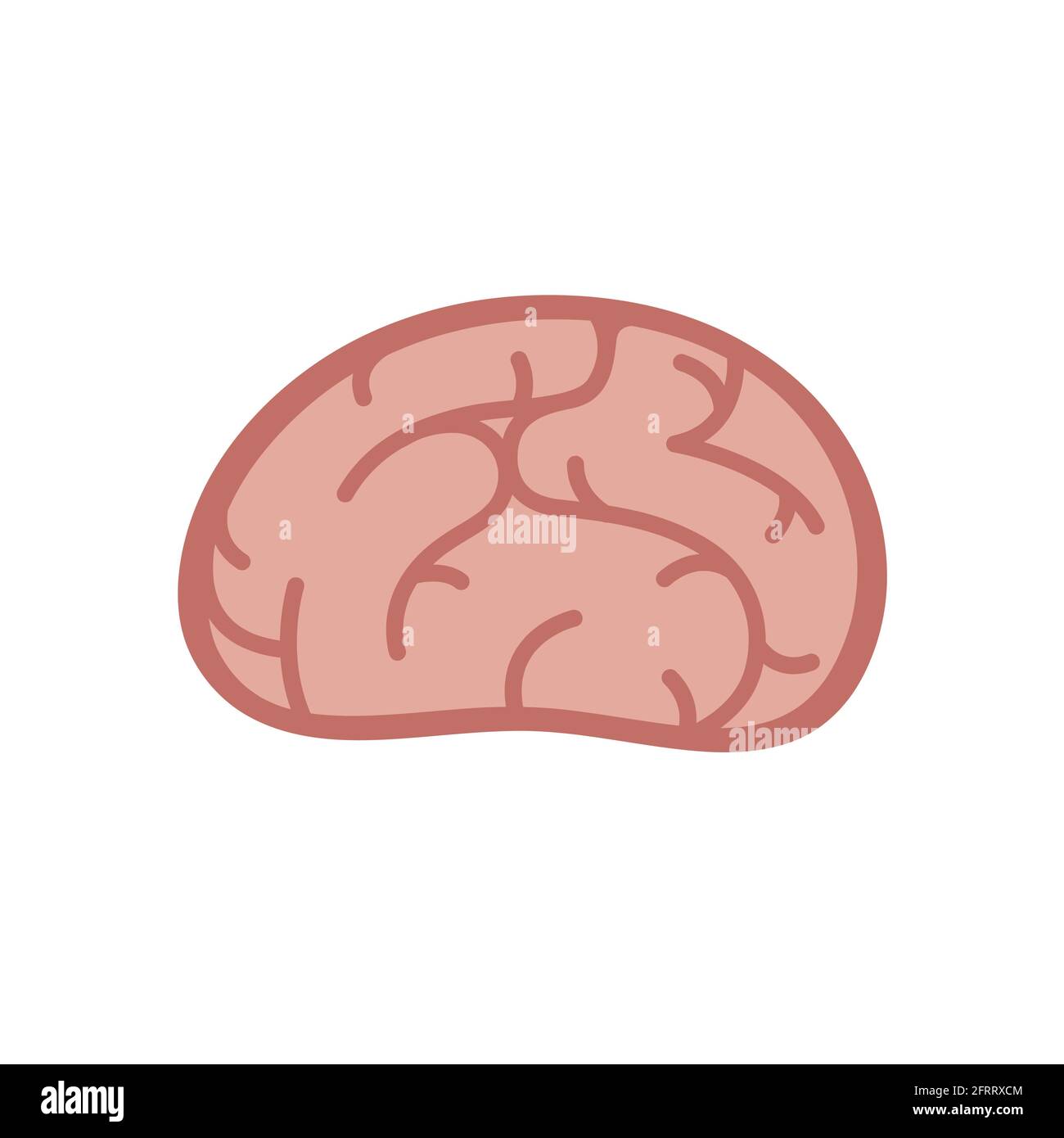 Gehirn im flachen Vektor-Cartoon-Stil. Stock Vektor