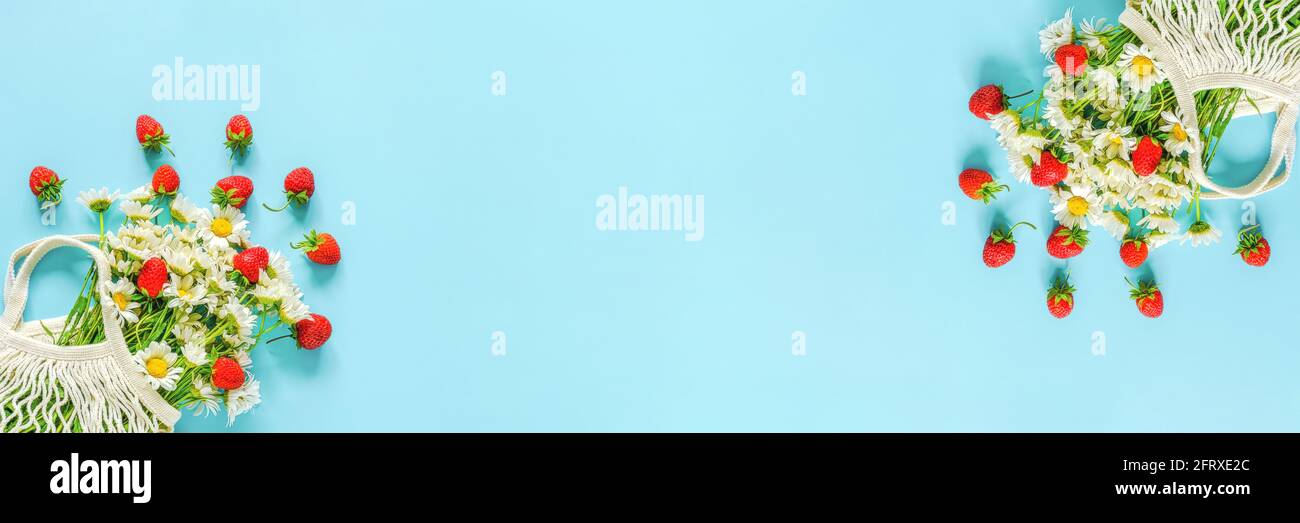 Bouquet von weißer Kamille in wiederverwendbaren Einkaufstasche aus Öko-Mesh und spritzt rote Erdbeeren auf blauem Hintergrund. Konzept Hallo Sommer. Banner-Kopierbereich T Stockfoto