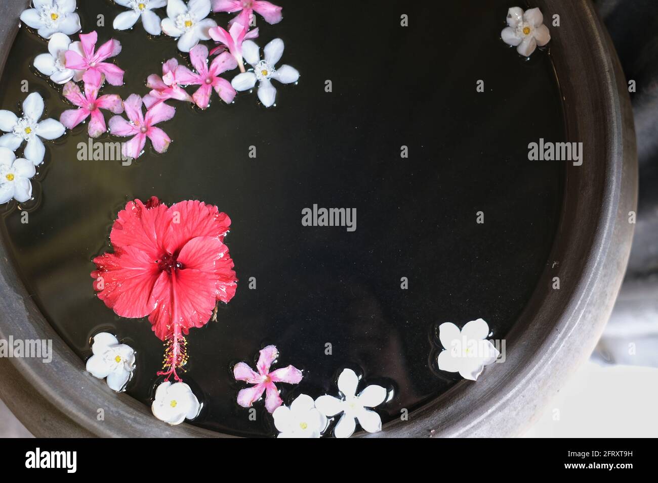 Ein großer Tontopf mit frischem Wasser und bunten, fallenden Blütenblättern. Stockfoto