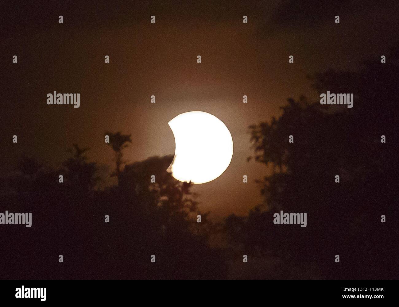 Partielle Sonnenfinsternis, aufgenommen vom Tamborine Mountain, Australien, 29. April 2014. Sonne und Bäume am Horizont. Stockfoto