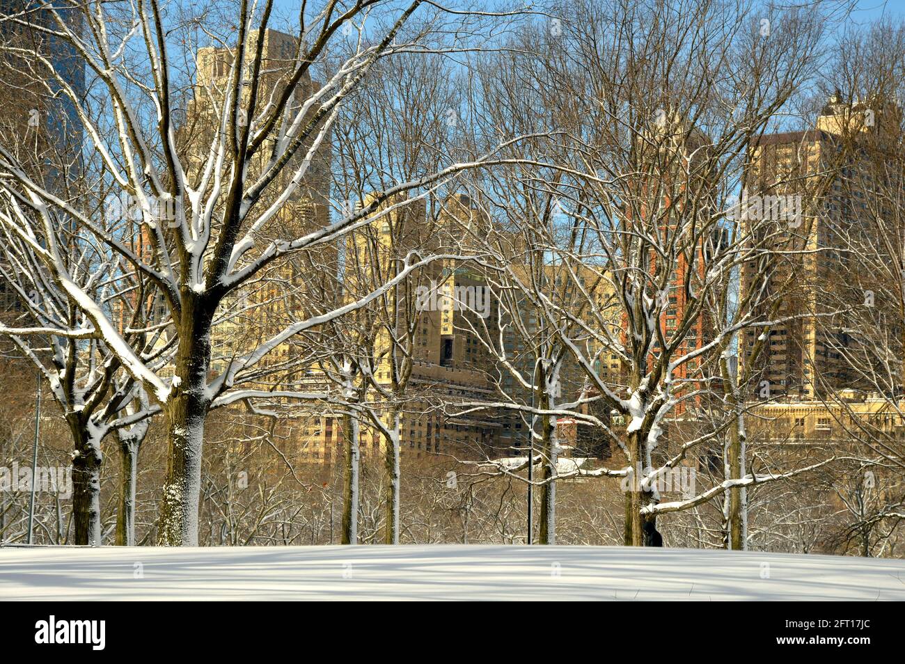 New York Winter Wonderland vom Central Park aus Stockfoto