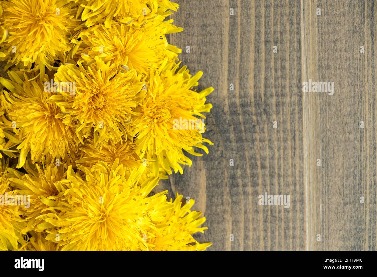Flach legen Frühling oder Sommer Blumen Hintergrund mit Kopierraum. Helle, schöne, gelbe Dandelionen auf Holz Hintergrund. Draufsicht Stockfoto