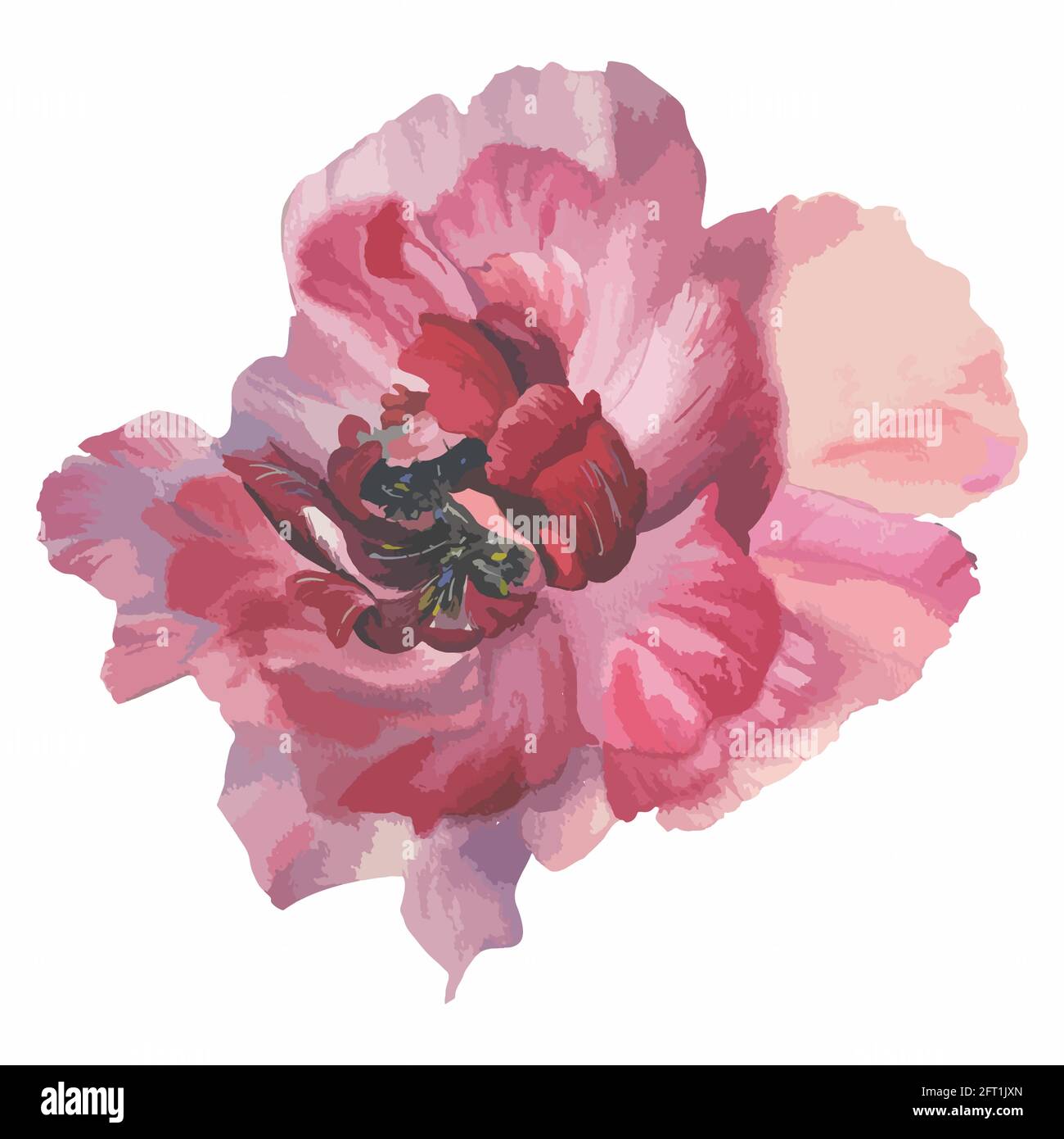 Rosa Aquarell Hand malen Pfingstrose Blume Vektor Stock Vektor