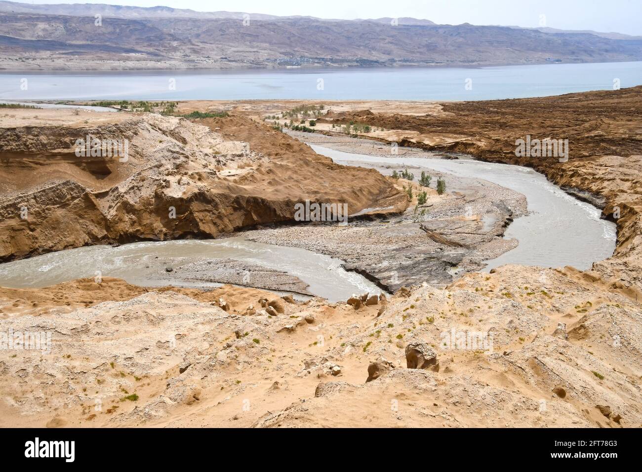 Jordanflußdelta, Totes Meer, Israel Stockfoto