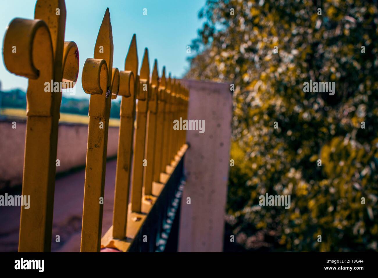 Blick vom Rande eines geschützten Waldes. Stockfoto