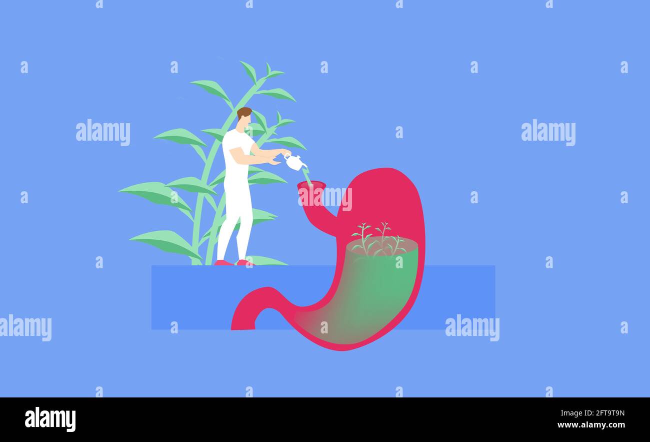 Kräutermedizin Konzept, gießt ein Mann einen Kräutertee in den Magen für das Wohlbefinden des Magens. Stockfoto