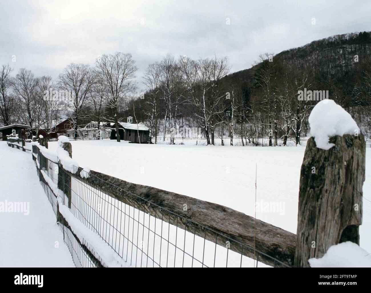 Cheddar Covered Bridge of Vermont Stockfoto