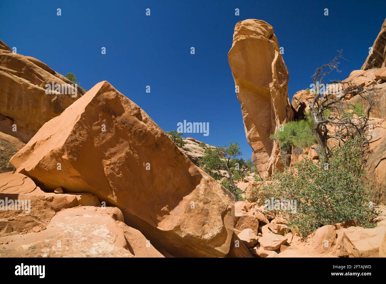 Überreste des eingestürzten Wall Arch im Arches National Park, Utah, USA. Stockfoto