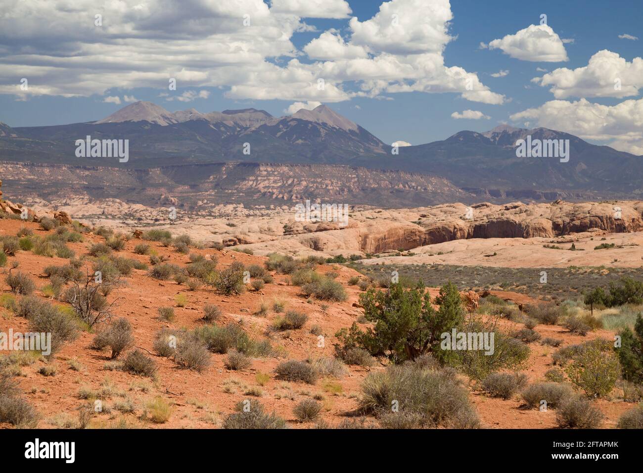 La Sal Mountains aus Arches National Park, Utah, USA. Stockfoto