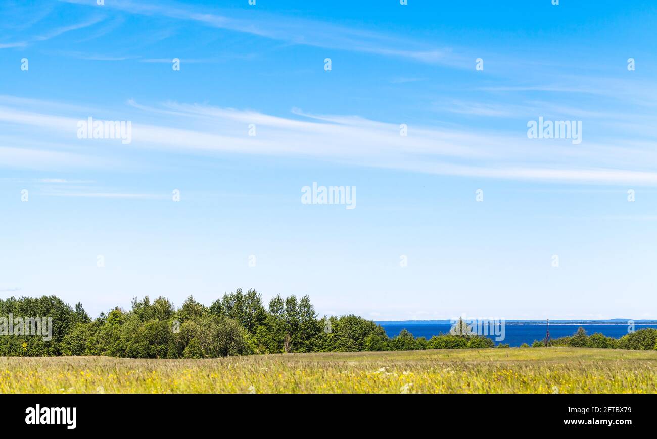 Ländliche Landschaft mit Sommerfeld unter wolkenblauem Himmel an einem sonnigen Tag, Horizont mit blauem Meer ist auf einem Hintergrund Stockfoto