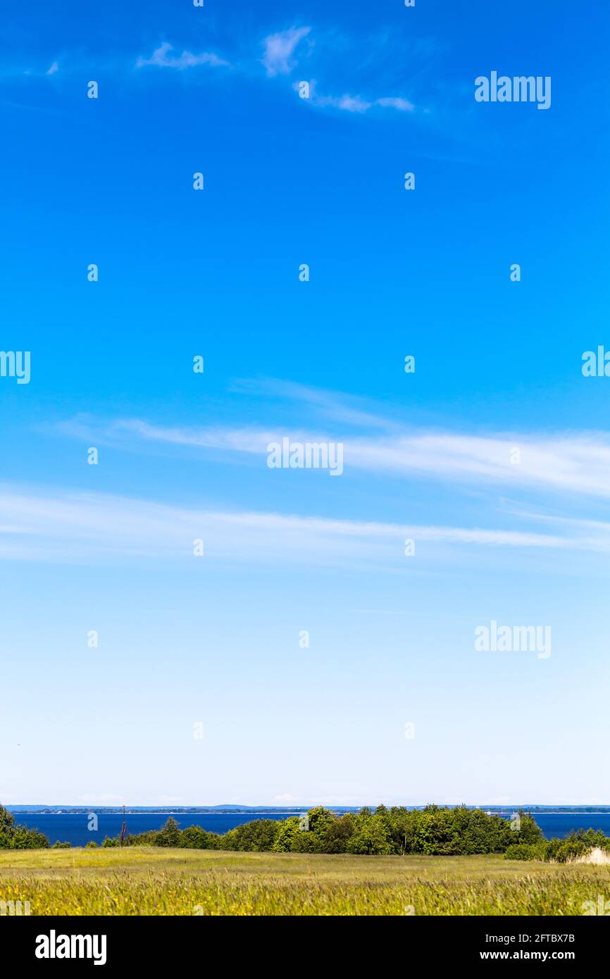 Vertikale ländliche Landschaft mit Sommerfeld unter wolkenblauem Himmel an einem sonnigen Tag, Horizont mit blauem Meer auf einem Hintergrund Stockfoto
