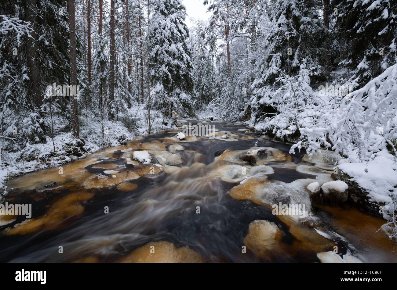Wilder Fluss in schweden im Winter mit langer Belichtung fotografiert Stockfoto