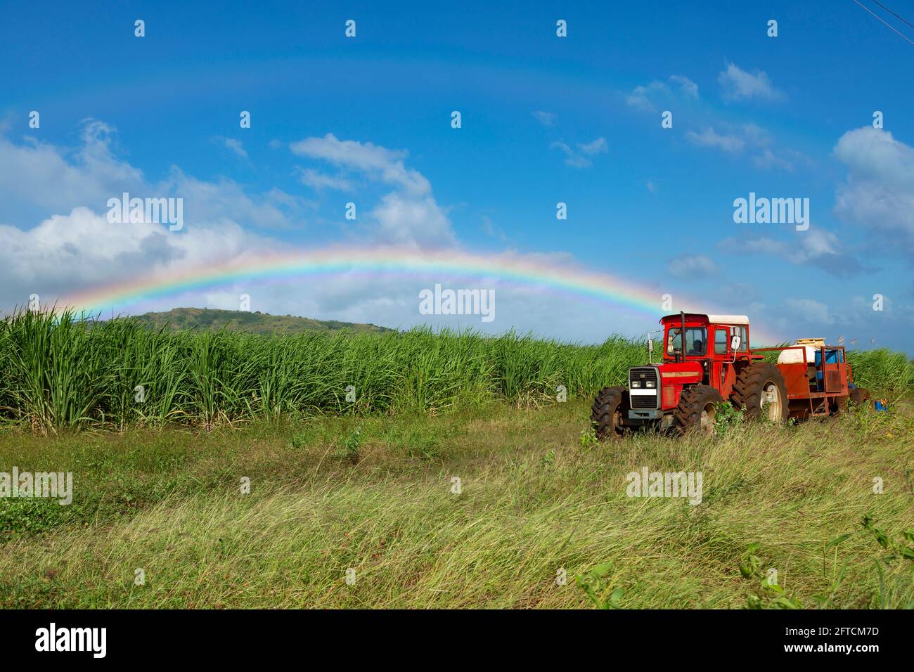 Traktor im Feld mit Regenbogen in blauem Himmel. Stockfoto