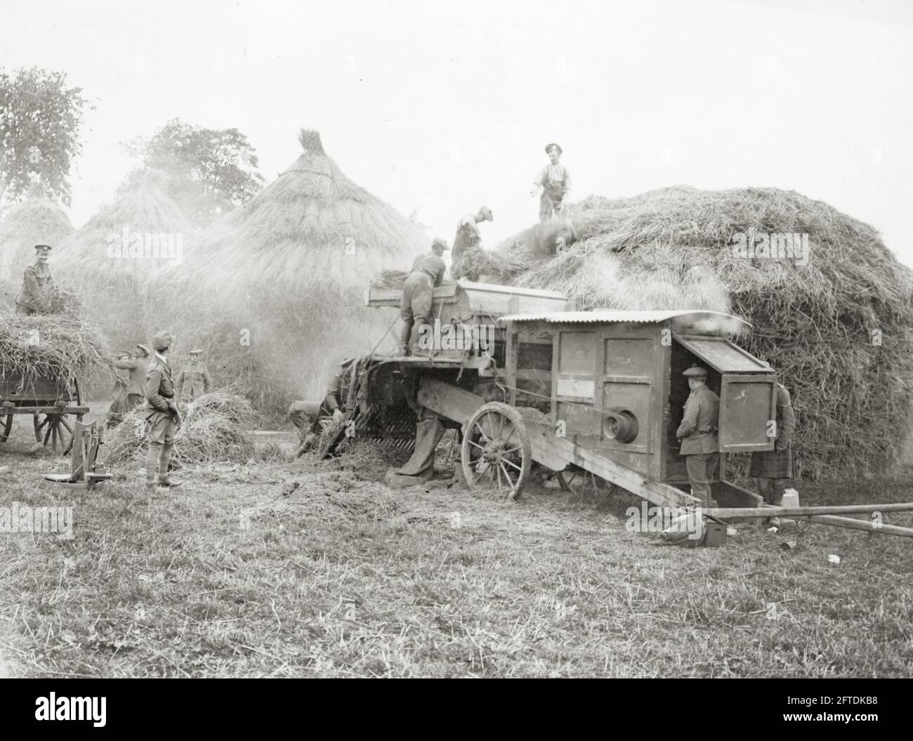 World war One, WWI, Western Front - Dreschen ihres eigenen Strohs für die Armee, Dampf Dreschmaschine Stockfoto