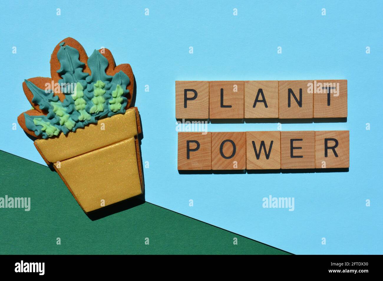 Pflanze Power, Wörter neben vereisten und dekorierten Lebkuchenkeks in Form eines Blumentopfes Stockfoto