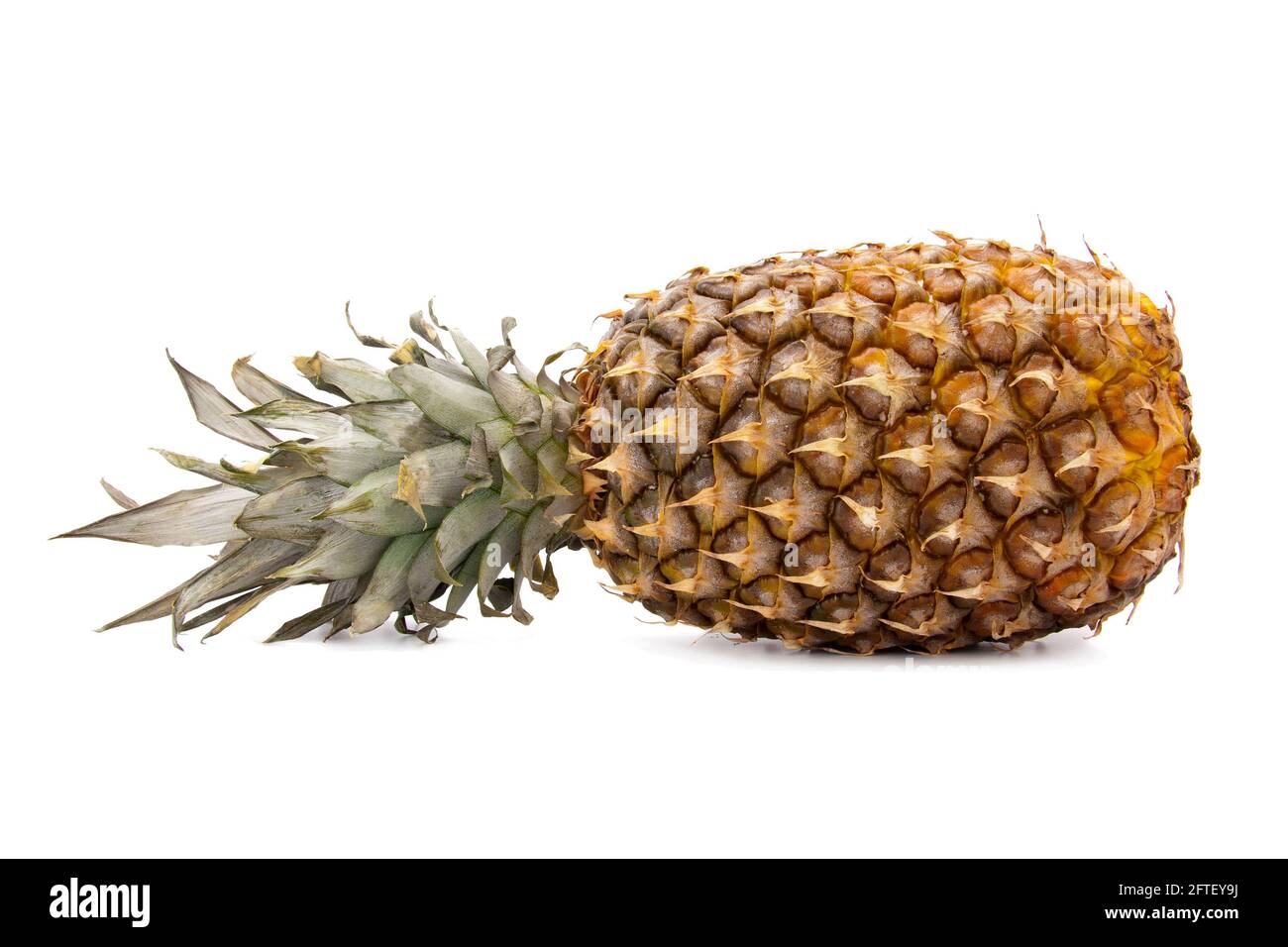 Ananas Stockfoto