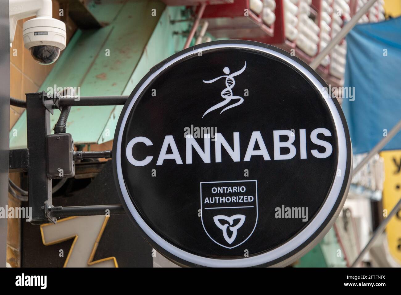Schild eines autorisierten Cannabishändlers in Ontario in der Yonge Street in der Innenstadt von Toronto, Kanada Stockfoto