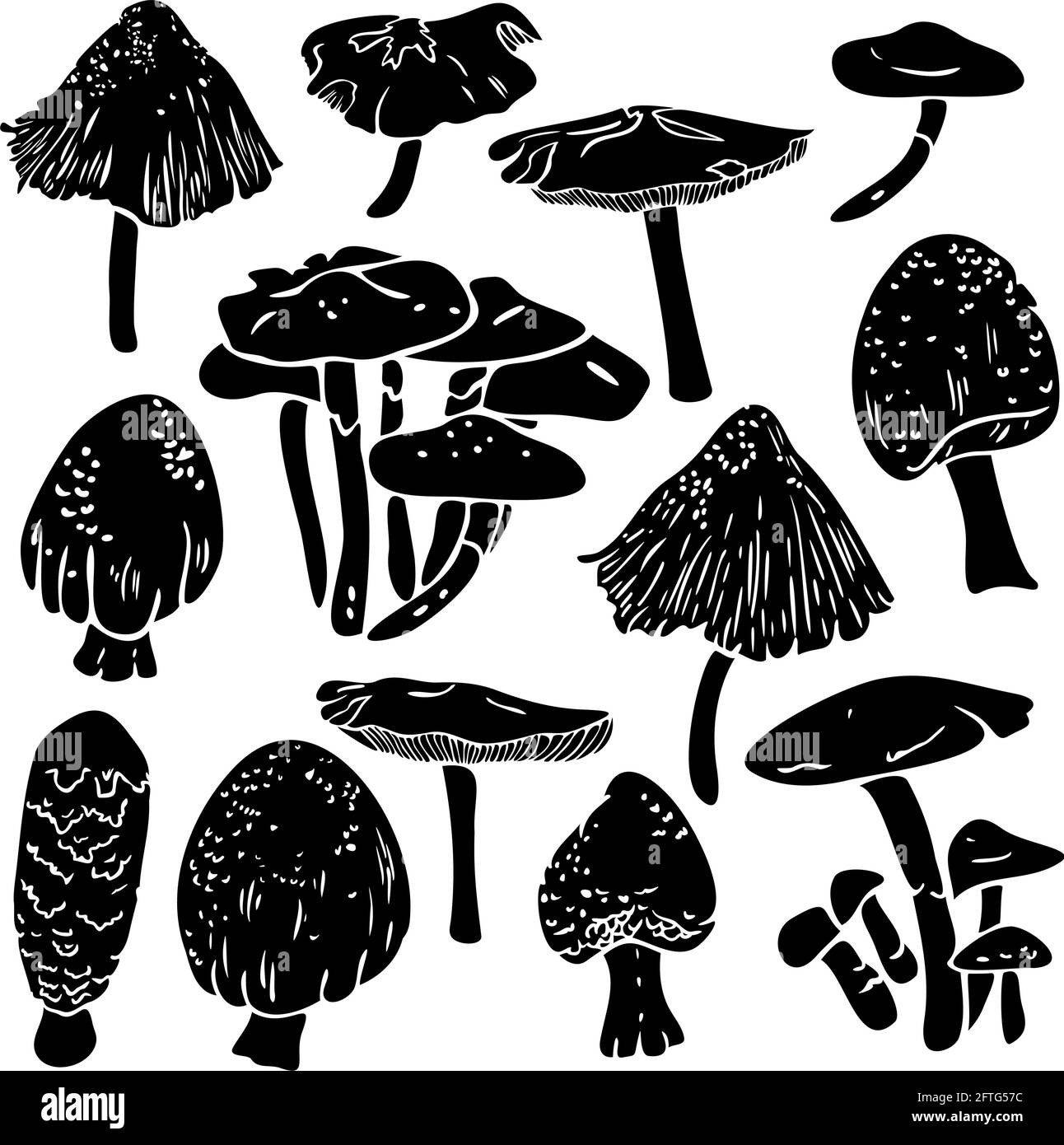 Vector Sammlung von verschiedenen Pilzen Silhouetten. Mykologiepilz-Design. Stock Vektor