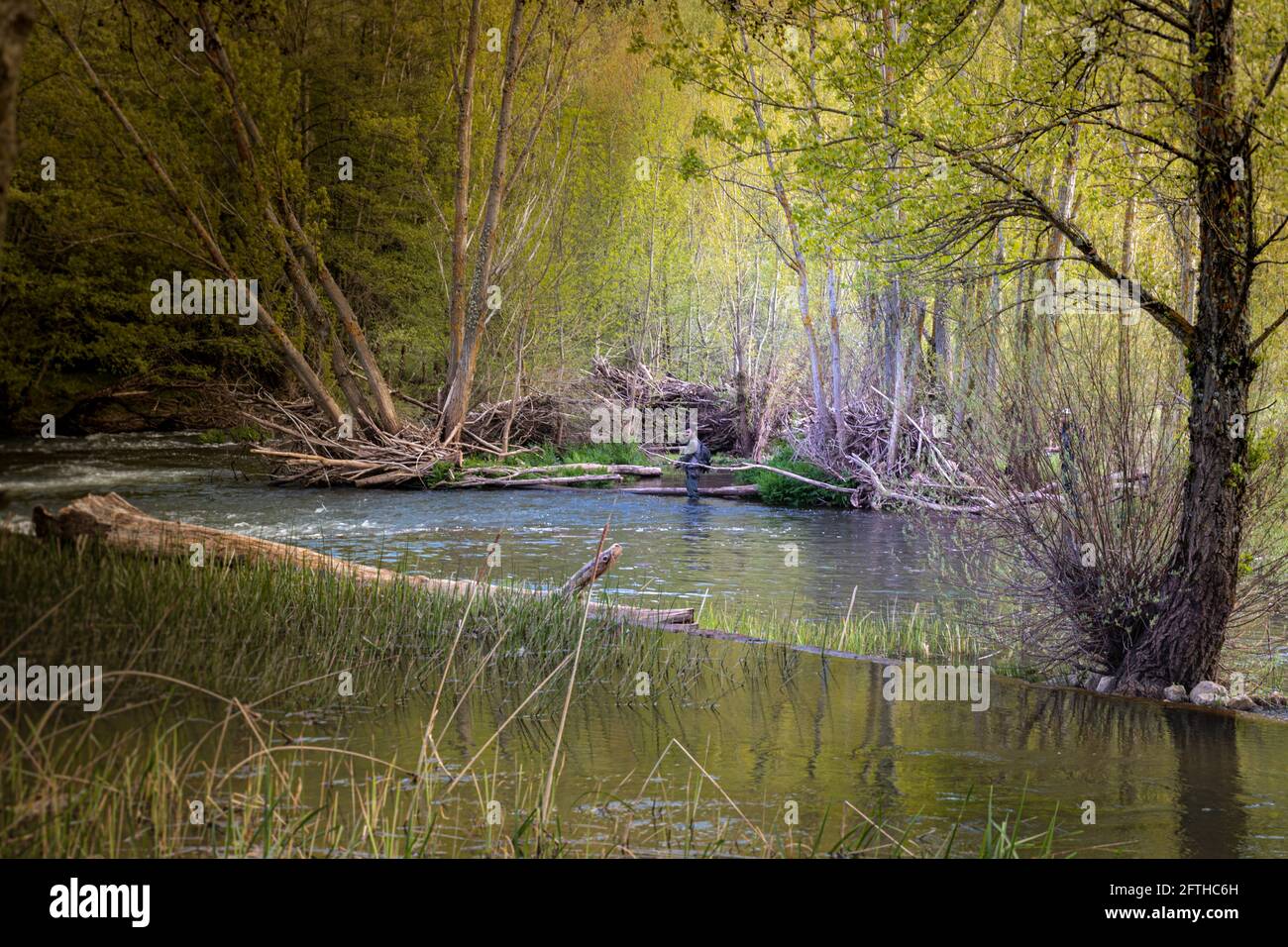 Landschaft eines Baches mit Wasser, wo zwei Angler sind Angeln auf Forellen, die den Fluss mit einem selektiven Fokus bewaten Stockfoto