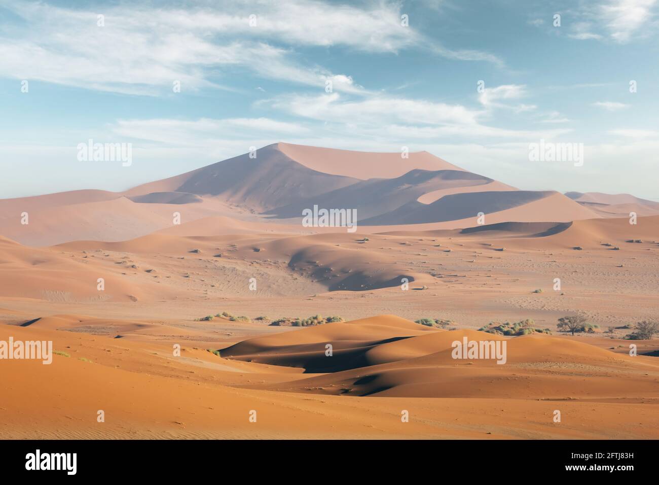Orangefarbene Sanddünen und klarer Himmel in der Namib-Wüste Stockfoto