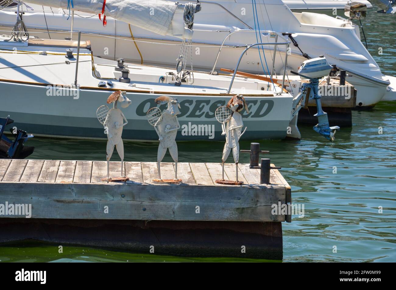 Toronto, Kanada - Juli 14 2013: Kunst: 3 lustige Hundefiguren mit Tennisschlägern auf einem Steg im Hafen von Toronto Stockfoto