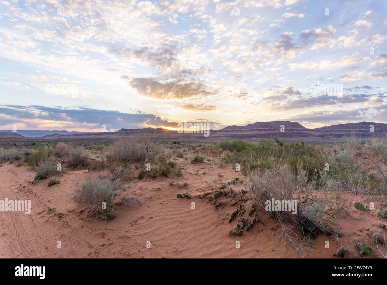 Sonnenaufgang in der Wüste in Utah Stockfoto