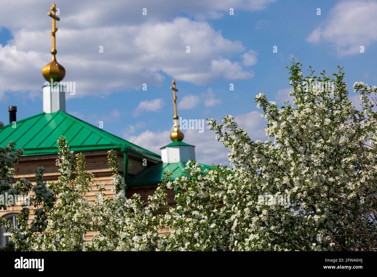 Der Apfelgarten blüht neben der orthodoxen Kirche gegen Der blaue Himmel Stockfoto
