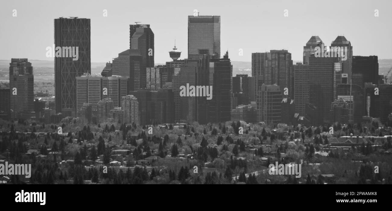 Die Innenstadt von Calgary Alberta Stockfoto