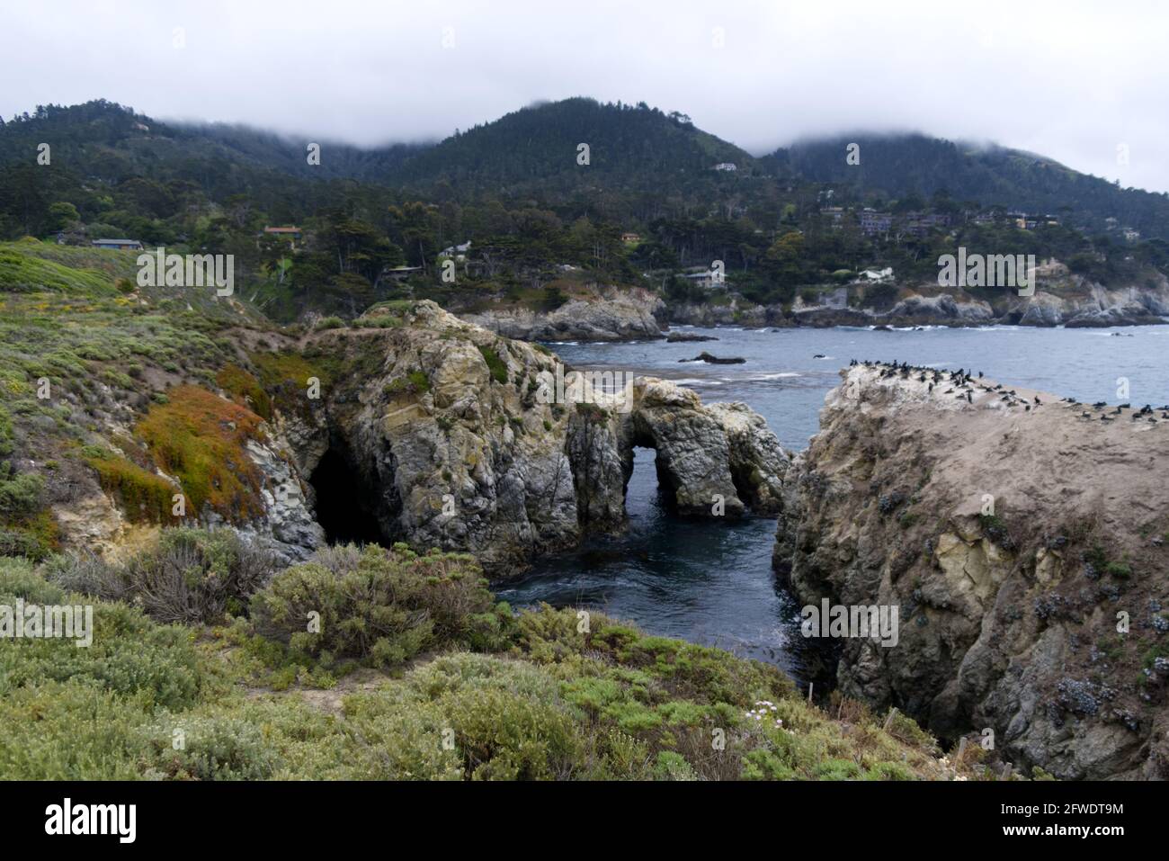 Point Lobos - Grotto & Bay Stockfoto