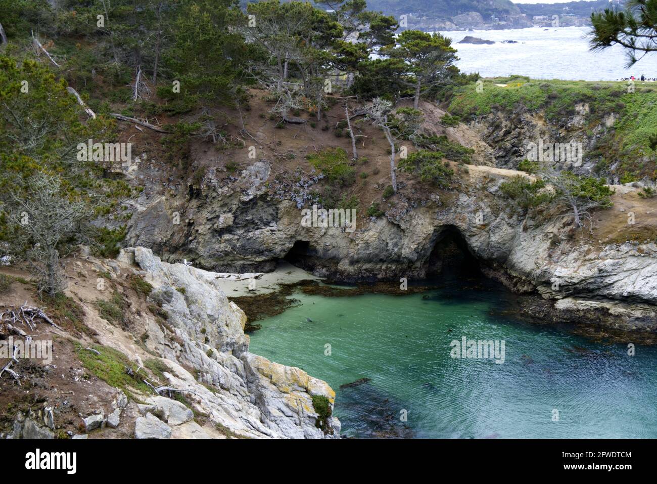 Point Lobos - Rocky Grotto Stockfoto