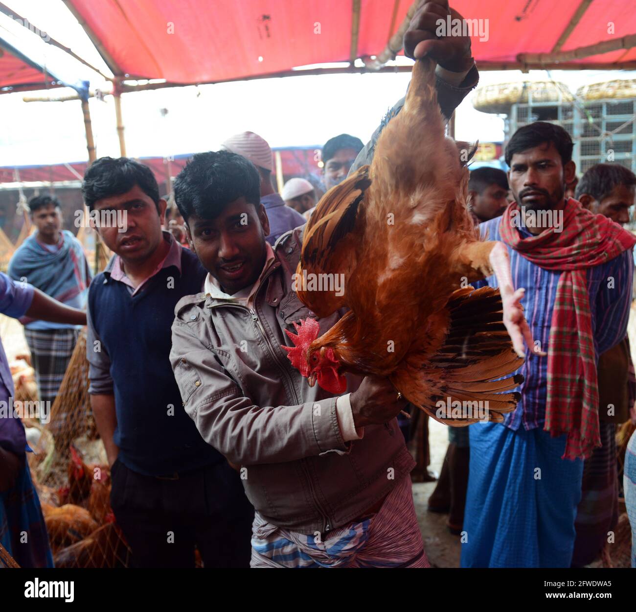 Der Hühnergroßmarkt am Karwan Bazar in Dhaka, Bangladesch. Stockfoto