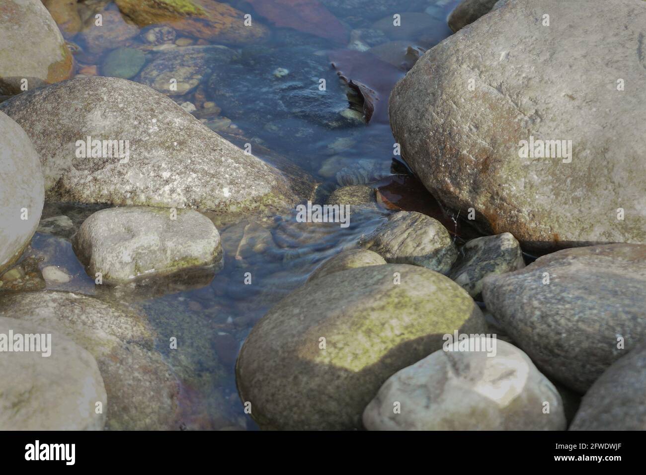 Steine am Flussbett des Murti-Flusses, Murti - Dooars, nordbengalen - Westbengalen, Indien Stockfoto
