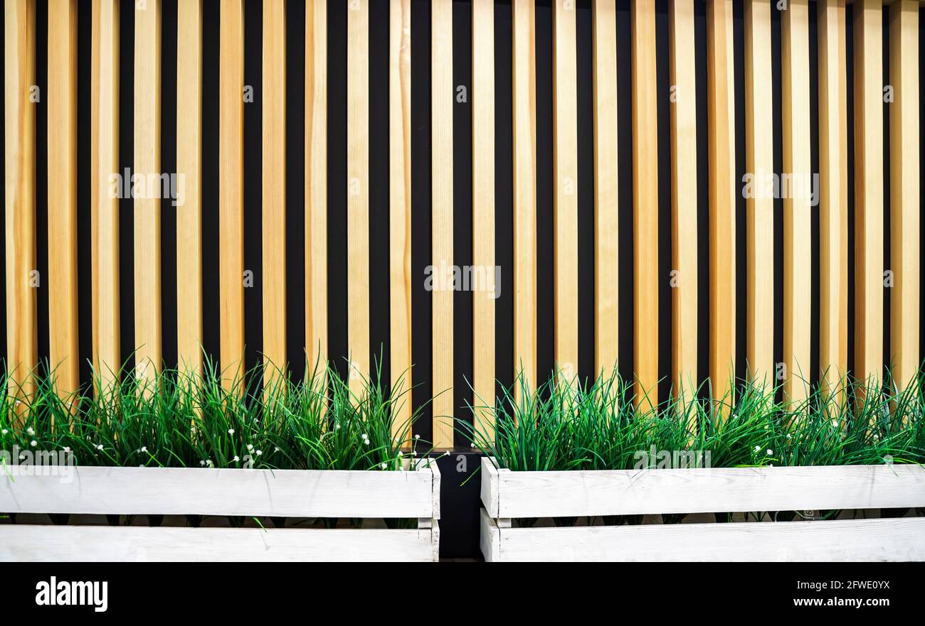 Vegetation, grünes Gras mit Pflanzenblättern isoliert auf einem Hintergrund von Holzstäben. Moderne Einrichtung Stockfoto