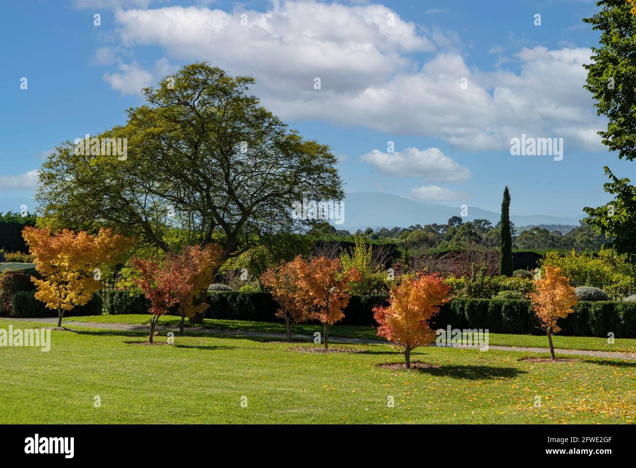 Blick vom Coombe Cottage, Coldstream, Victoria, Australien Stockfoto