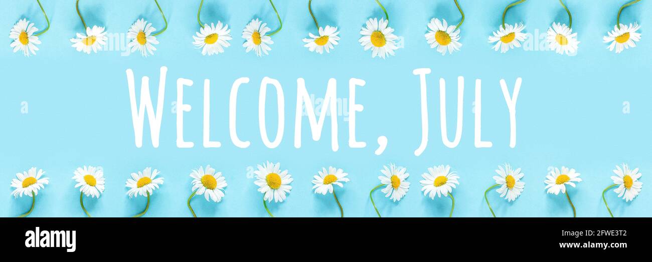 Willkommen, Juli Text im Rahmen von Kamillenblüten auf blauem Hintergrund. Konzept Hallo Sommerzeit. Banner. Stockfoto