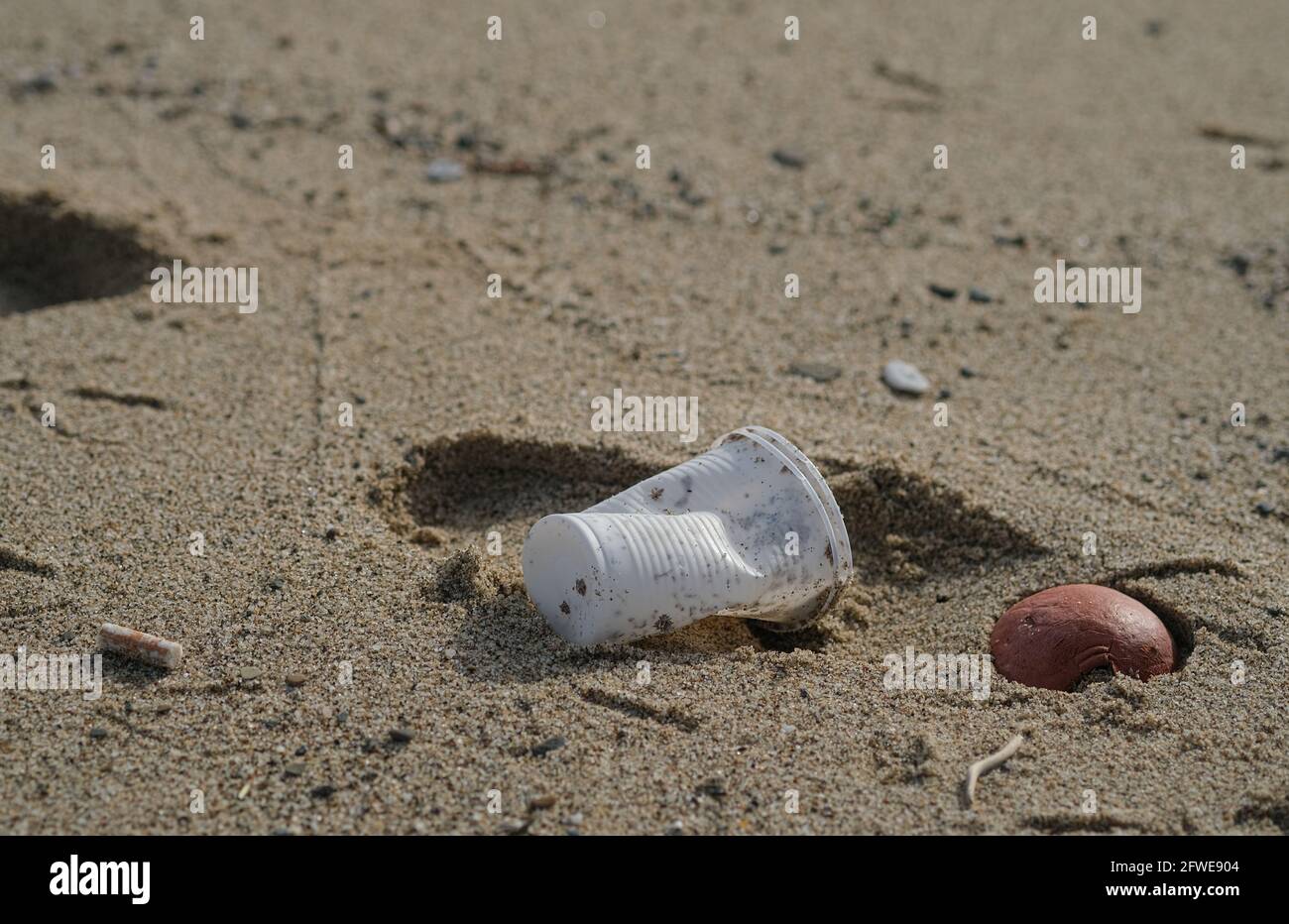 Plastikmüll Verschmutzung auf Meeresküste Ökosystem, Zigarettenkippen Abfall, Natur verworfen Kontamination Stockfoto