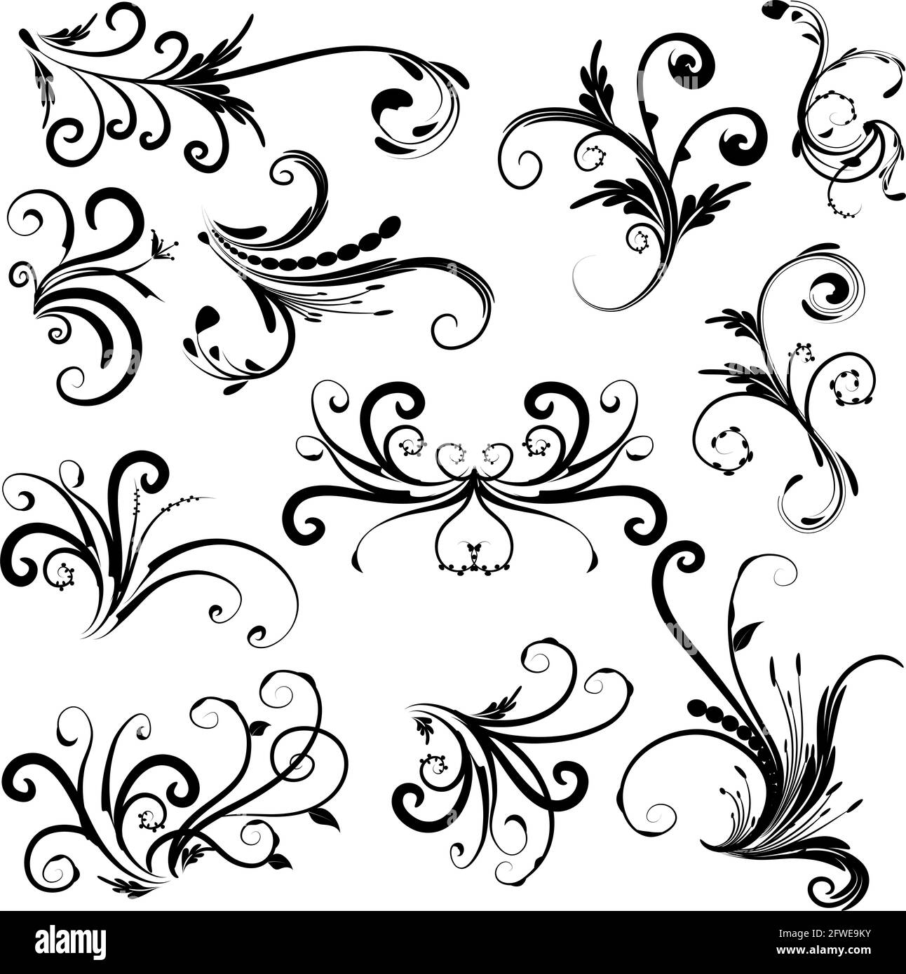 Kalligrafische Dekorationselemente mit Linien und Blatt und Blumen Schmetterling Stockfoto