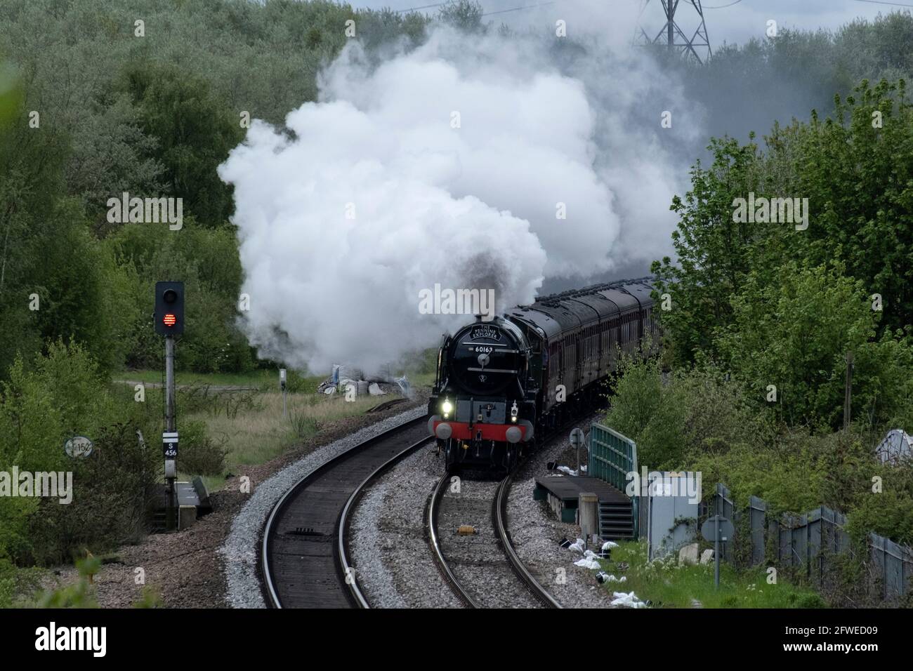 Dampflokomotive Tornado auf dem Weg nach Carlisle durch Kilnhurst, South Yorkshire. Stockfoto