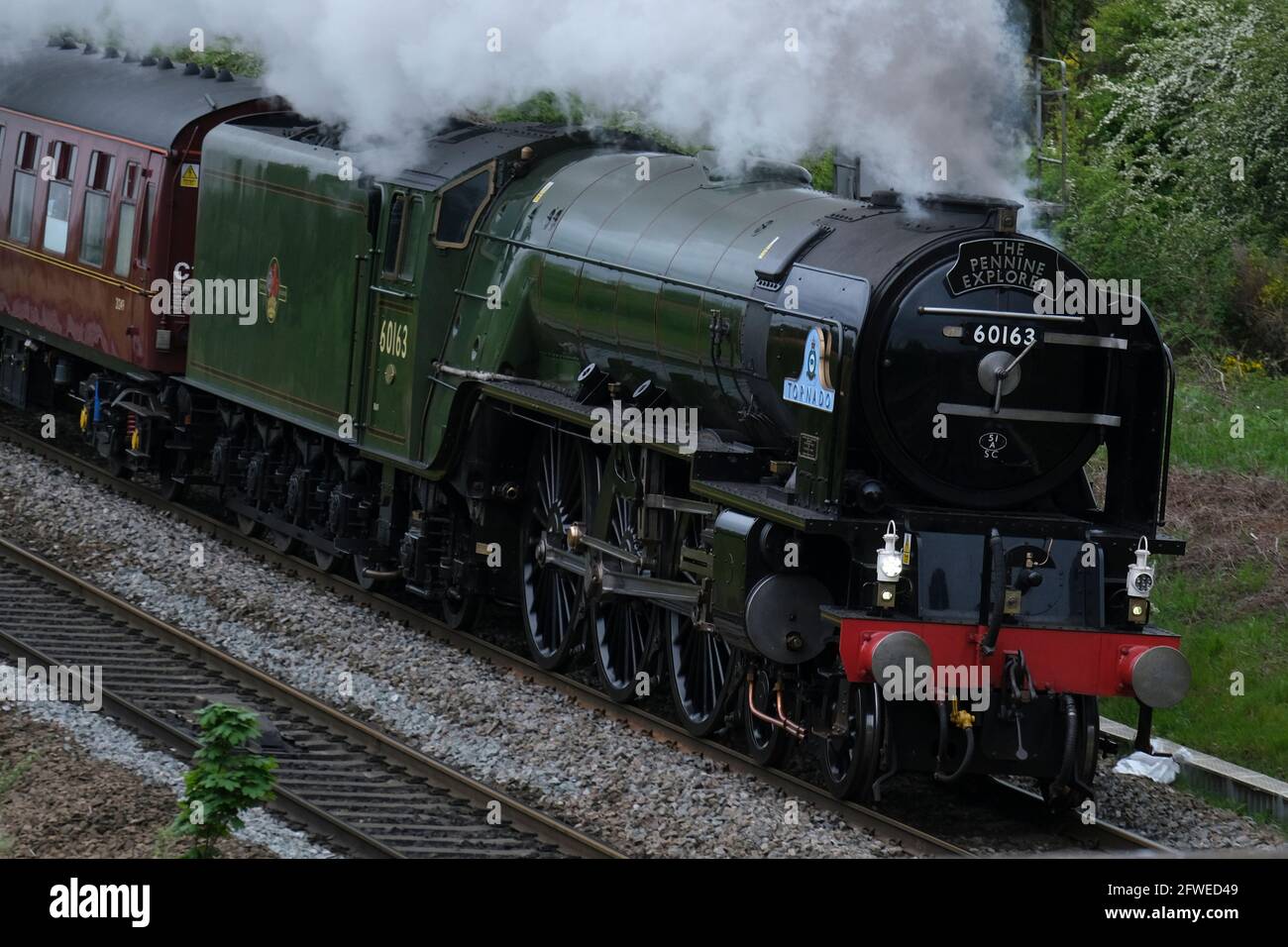 Dampflokomotive Tornado auf dem Weg nach Carlisle durch Kilnhurst, South Yorkshire. Stockfoto