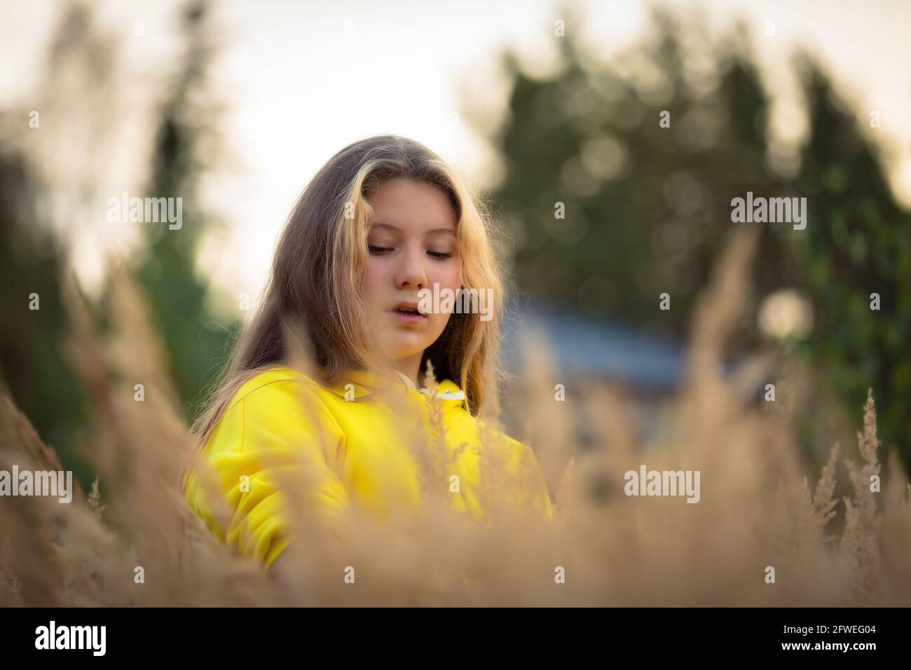 Ein junges Mädchen mit langen Haaren geht über ein Feld mit hohem Gras. Blonde Haare. Gelbe Jacke. Stockfoto