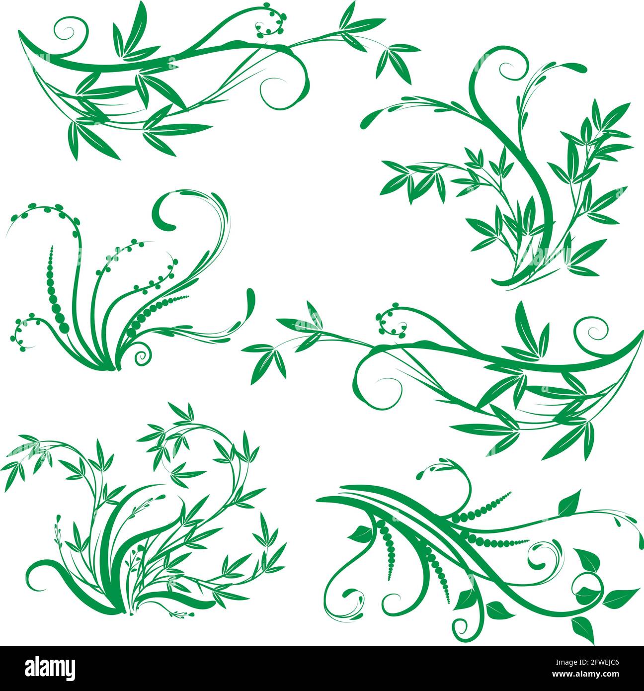 Kalligrafische Dekorationselemente mit Linien und Blatt und Blumen Schmetterling Stockfoto