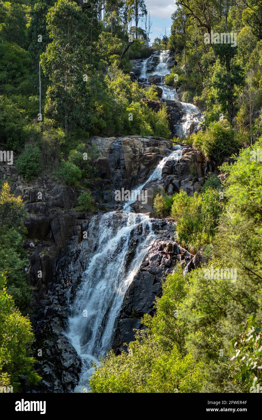 Steavenson Falls, in der Nähe von Marysville, Victoria, Australien Stockfoto